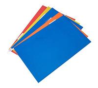 [Pack of 20] Colour Hanging Suspension Files with Tabs & Inserts (Foolscap (Larger Than A4))