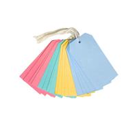 Pack Of 20 Coloured Strung Tags 60 X 120mm
