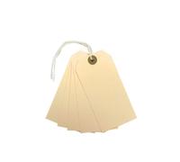 Pack Of 20 Manila Luggage Strung Tags 60 X 120mm