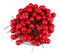 Pack of 200 Artificial Holly Berries Christmas Holly Berries Red Berries Branches Christmas Berry Simulation Christmas Berries Mini Christmas Berry Fake Berries Decoration for Party Birthday Gift