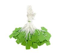 Pack Of 200 Small Green Strung Tags 13 X 20mm