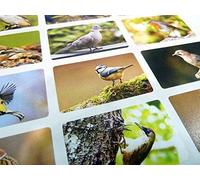 Pack of 24 British Garden Birds Self-Stick Envelope Seal Labels, Colourful Wildlife Stickers for Cards, Craft, Decoration