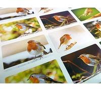 Pack of 24 Robin Self-Stick Envelope Seal Labels, Colourful British Garden Birds Wildlife Stickers for Cards, Craft, Decoration