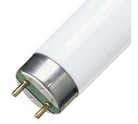 Pack of 25 Fluorescent Bulbs TL-D 18 Watt 840 Philips
