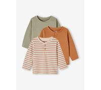 Pack of 3 Basics Tops in Organic Cotton for Babies pecan nut