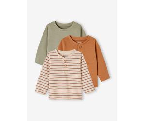 Pack of 3 Basics Tops in Organic Cotton for Babies pecan nut