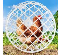 Pack of 3 Chicken Ball Cage, Round Chicken Coop, Mobile Exercise Ball for Chickens, Removable Chicken Cage Made of Plastic in Ball Shape, Spherical Chicken Cage, Free Breeding, Spherical Safe Running