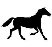 Pack of 3 Cute Horse Fun Waterproof Sticker Decal - Use on Car Bumpers, Laptops, Mirrors, Water Bottles, Scrapbooking, Party Bag Fillers, Animal Gifts, Peel & Stick (3, 5cm x 3.5cm (2" x 1.4"))