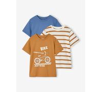 Pack of 3 short-sleeved t-shirts pecan nut