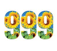 Pack of 3 Sunflower Bin Number Sticker - 9 ideal for Home, Office, Classroom Decoration, Out Door Wheelie Bins, Dustbin V1099 Packwith®