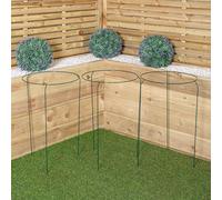 Pack of 3 Tom Chambers Urban Metal Herbaceous Garden Plant Support Ring Large 40cm x 60cm Samuel Alexander Dark Green One Size