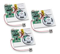 Pack of 3 USB Sound Module, DIY Sound Module up to 8 m Memory, Music Voice Recording Module with Speaker MP3, Rechargeable Battery, MP3 Sound Chip Module for DIY Cards, Toys, Creative Gifts