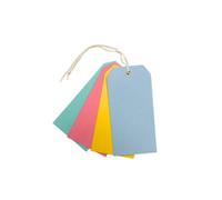 Pack Of 30 Assorted Colour Luggage Strung Tags 60 X 120mm
