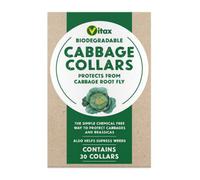 Pack Of 30 Biodegradeable Cabbage Collars Protects Brassicas From Cabbage Rot Fly