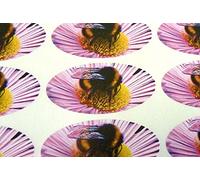 Pack of 30, Bumble Bee Seals, 51x25mm Oval Seal Labels, Stickers for Gift Wrapping, Presents, Envelopes, Bags or Cards