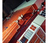 Pack of 4 5ft (150cm) Posable Full Body Halloween LED Skeleton Decoration with Movable Joints and LED Eyes Samuel Alexander White One Size