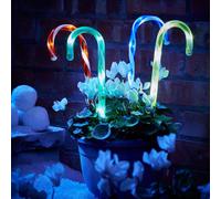 Thrink Pack of 4 Candy Cane LED Light | Battery Powered | 20 LED Lights In Total | With Weatherproof Battery Box | Perfect For Christmas Pathway Garden Stake Lights Festive Outdoor Decoration