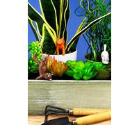 Pack of 4 Mini Plant Pot Yoga Cats Gift Republic Multi One Size