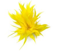Pack of 4 Women's Brooches, Feather Brooch Made of Goose Feather Tea Party Elegant Brooch Corsage Hair Clip Flower Feather Hairpin Headpiece Hat Clip for Bride Mother Gifts, Yellow