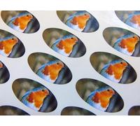 Pack of 48 Robin, 40x20mm Oval Seal Labels, Stickers for Craft, Decoration, Gift Wrapping, Presents, Envelopes, Bags or Cards
