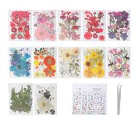 Pack Of 495 Pressed Flower Collection Natural Dried Floral Supplies With Resin Butterfly Stickers For Craft Craft Projects Resin Butterfly Stickers Bundles