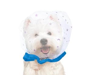 Pack of 5 Anti-Eating Mesh Headgear, Breathable Mesh Anti-Bite Pet Helmet, Elastic Anti-Snack Muzzle Cover for Small Dogs and Cats, Prevents and Eating Foreign Bodies