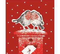 Pack of 5 Charity Christmas Cards Robins Love Birds Cards Multiple Charities