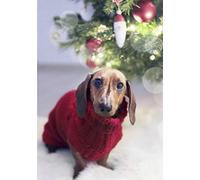 Pack of 5 Christmas Greeting Cards Dachshund Sausage Dog Jumper 125mm x 178mm Including Envelopes SB003PCK5