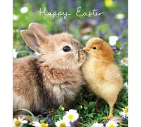 Pack of 5 Cute Bunny & Chick Easter Greetings Cards In Same Mini Card Design