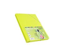 Pack of 5 Folders Folio Size with Flap and Elastic Rubber Apple Colour