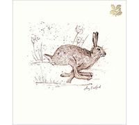 Pack of 5 National Trust Festive Hare Charity Christmas Cards Foiled Xmas Cards 493898