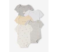 Pack of 5 short-sleeved bodysuit rabbit cloud ecru
