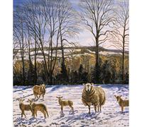 Woodmansterne Pack of 5 Winter Flock Charity Christmas Cards Supporting Multiple Charities 473777 473777