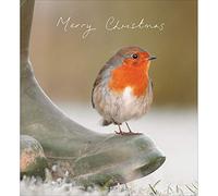Pack of 5 Winter Morning Charity Christmas Cards Supporting Multiple Charities 457098