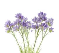 Pack of 6 60cm Artificial Purple Starflower Stems with Silk Flowers Pegdev Purple One Size