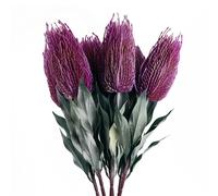 Pack of 6 75cm Artificial Pink Banksia Stems for Floral Décor Pegdev Pink One Size