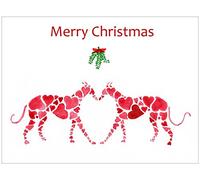Pack of 6 - Christmas Cards (Xmas Cards) Greyhound Whippet Lurcher Italian Dog - Gift