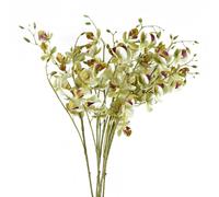 Pack of 6 Cream Mini Orchid Stems 80cm Faux Flowers Pegdev Cream One Size