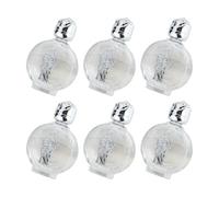 Pack Of 6 Crystals Glass Water Bottles 15ml Round Silver For Religious Ceremonies And Essential Oil Religious Decanters With Silver Finish