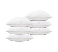 Lancashire Textiles Duck Feather Cushion Pads Generously Filled with Ethically Sourced Feathers Encased in Pure Cotton Cambric Cover (Pack of 6, 20" x 20" (50cm x 50cm))