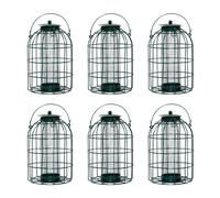 Nature's Market 6pk Wild Bird Hanging Nut Feeder with Squirrel Guard, Green