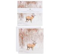 Pack Of 6 Winter Woodland Stag Charity Christmas Cards Multiple Charities