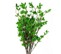 Pack of 6 x 100cm Mini Leaf Ficus Stem