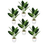 Pack of 6 x 45cm Artificial Aureum Plant