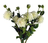Pack of 6 x 75cm Artificial Dahlia PomPom Flower Stem Cream