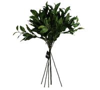 Pack of 6 x 90cm Artificial Ficus Foliage Stem