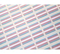Pack of 64 Small Mini 20x12mm Transgender Pride Rainbow LGBT Flag Stickers, Sticky Labels