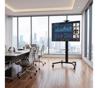 Pack Sony BRAVIA BZ40L 55-inch 4K Display + Vision VFM-F19 stand A 24/7 digital signage solution for professional environments, featuring a 55-inch