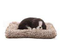 Packool Cute Dog Decoration with Activated Charcoal Pad, Great for Car, Office, Bedroom, and Living Room, Functional Air Purifier, Mini Border Collie Plush Car Ornament