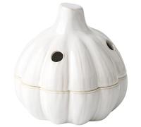 Packool Garlic Shaped Storage Jar Ceramic Garlic Keeper, 5x5 in with Vents, Off-White Food Storage Container for Garlic, Ginger, Onion, Countertop Garlic Jar Keeper with Lid, Farmhouse Decor